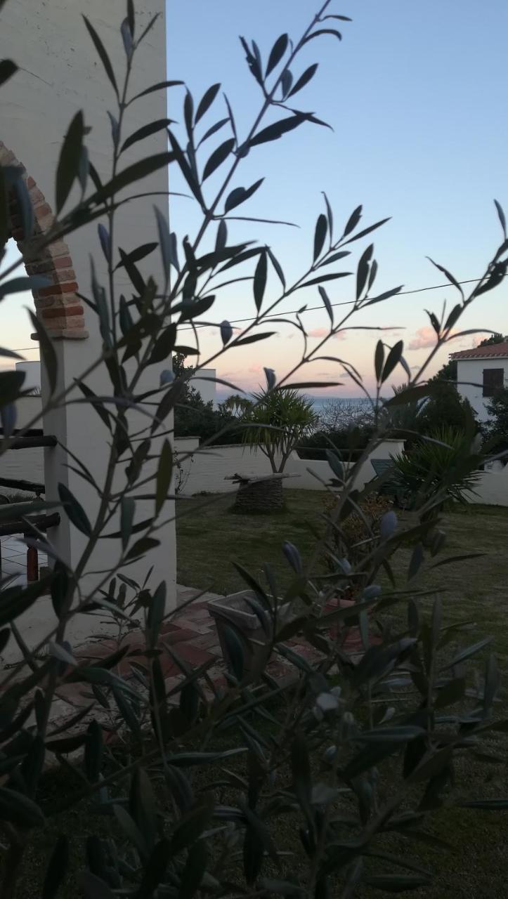 Villa Dolly Porto Columbu - Perd'E Sali 외부 사진